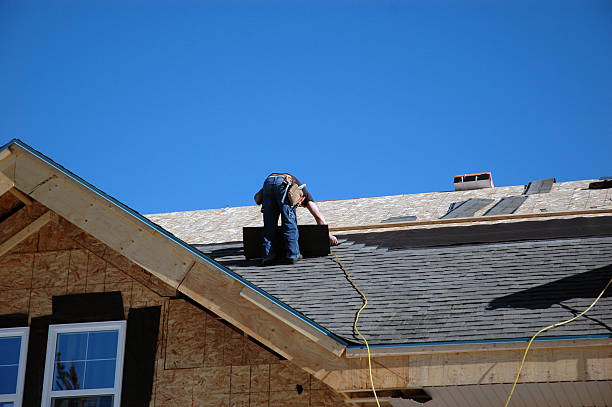 Best Rubber Roofing (EPDM, TPO)  in Trenton, IL