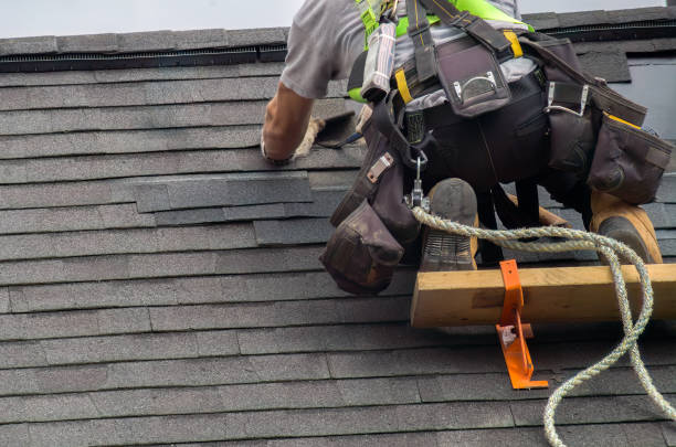 Best Rubber Roofing (EPDM, TPO)  in Trenton, IL